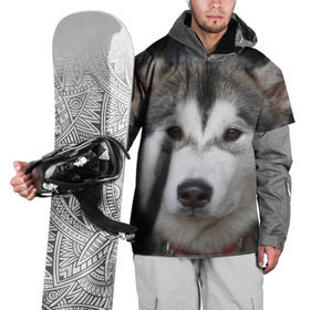 Накидка на куртку 3D с принтом Хаски в Новосибирске, 100% полиэстер |  | волк | маламут | собака | хаски | щенок