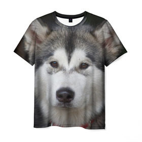 Мужская футболка 3D с принтом Хаски в Новосибирске, 100% полиэфир | прямой крой, круглый вырез горловины, длина до линии бедер | Тематика изображения на принте: волк | маламут | собака | хаски | щенок