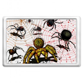 Магнит 45*70 с принтом Тарантул в Новосибирске, Пластик | Размер: 78*52 мм; Размер печати: 70*45 | spider | паук | паутина | тарантул