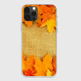 Чехол для iPhone 12 Pro Max с принтом Foliage в Новосибирске, Силикон |  | листья | осень