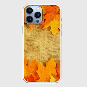 Чехол для iPhone 13 Pro Max с принтом Foliage в Новосибирске,  |  | листья | осень