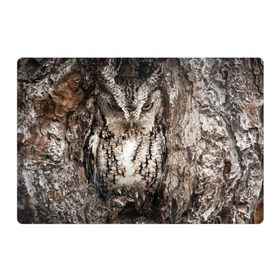 Магнитный плакат 3Х2 с принтом Камуфляж сова в Новосибирске, Полимерный материал с магнитным слоем | 6 деталей размером 9*9 см | дерево | пернатая | птица | филин