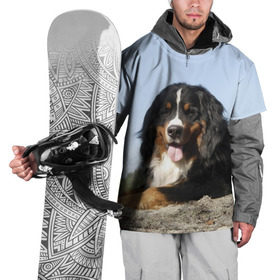 Накидка на куртку 3D с принтом Бернский зенненхунд в Новосибирске, 100% полиэстер |  | голубое небо | друг человека | животное | красивая | милая | овчарка | пес | породистая собака | породы | прикольная | природа | рыжий | черный | щенок