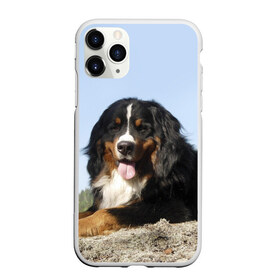 Чехол для iPhone 11 Pro матовый с принтом Бернский зенненхунд в Новосибирске, Силикон |  | голубое небо | друг человека | животное | красивая | милая | овчарка | пес | породистая собака | породы | прикольная | природа | рыжий | черный | щенок