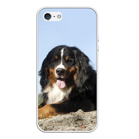 Чехол для iPhone 5/5S матовый с принтом Бернский зенненхунд в Новосибирске, Силикон | Область печати: задняя сторона чехла, без боковых панелей | голубое небо | друг человека | животное | красивая | милая | овчарка | пес | породистая собака | породы | прикольная | природа | рыжий | черный | щенок