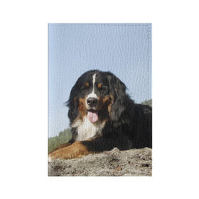 Обложка для паспорта матовая кожа с принтом Бернский зенненхунд в Новосибирске, натуральная матовая кожа | размер 19,3 х 13,7 см; прозрачные пластиковые крепления | голубое небо | друг человека | животное | красивая | милая | овчарка | пес | породистая собака | породы | прикольная | природа | рыжий | черный | щенок