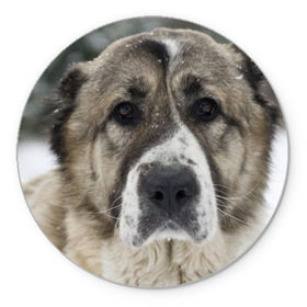 Коврик круглый с принтом САО (алабай) в Новосибирске, резина и полиэстер | круглая форма, изображение наносится на всю лицевую часть | большая огромная | грозная | добрая | друг человека | животное | красивая | милая | пес | породистая собака | породы | прикольная | сао алабай | щенок