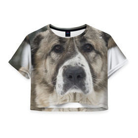Женская футболка 3D укороченная с принтом САО (алабай) в Новосибирске, 100% полиэстер | круглая горловина, длина футболки до линии талии, рукава с отворотами | большая огромная | грозная | добрая | друг человека | животное | красивая | милая | пес | породистая собака | породы | прикольная | сао алабай | щенок