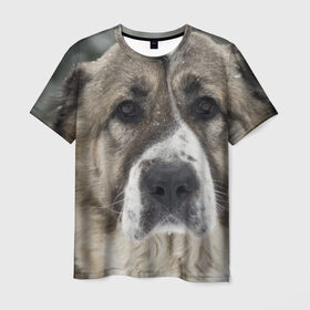 Мужская футболка 3D с принтом САО (алабай) в Новосибирске, 100% полиэфир | прямой крой, круглый вырез горловины, длина до линии бедер | большая огромная | грозная | добрая | друг человека | животное | красивая | милая | пес | породистая собака | породы | прикольная | сао алабай | щенок