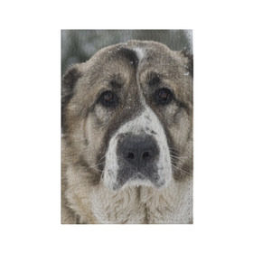 Обложка для паспорта матовая кожа с принтом САО (алабай) в Новосибирске, натуральная матовая кожа | размер 19,3 х 13,7 см; прозрачные пластиковые крепления | большая огромная | грозная | добрая | друг человека | животное | красивая | милая | пес | породистая собака | породы | прикольная | сао алабай | щенок
