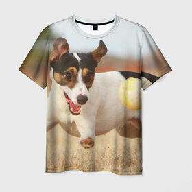 Мужская футболка 3D с принтом Счастье в Новосибирске, 100% полиэфир | прямой крой, круглый вырез горловины, длина до линии бедер | друг человека | животное | игра | красивая | ловит | маленький | милая | мяч | на природе | пес | породистая собака | породы | прикольная | счастливый | щенок