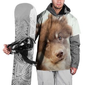 Накидка на куртку 3D с принтом Милый в Новосибирске, 100% полиэстер |  | Тематика изображения на принте: друг человека | животное | красивая | маленький | милая | милый взгляд | пес | песик | породистая собака | породы | прикольная | рыжий | щенок
