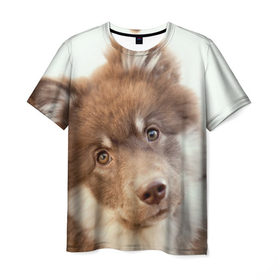 Мужская футболка 3D с принтом Милый в Новосибирске, 100% полиэфир | прямой крой, круглый вырез горловины, длина до линии бедер | друг человека | животное | красивая | маленький | милая | милый взгляд | пес | песик | породистая собака | породы | прикольная | рыжий | щенок