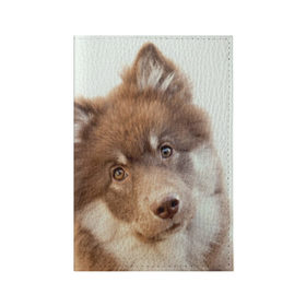 Обложка для паспорта матовая кожа с принтом Милый в Новосибирске, натуральная матовая кожа | размер 19,3 х 13,7 см; прозрачные пластиковые крепления | Тематика изображения на принте: друг человека | животное | красивая | маленький | милая | милый взгляд | пес | песик | породистая собака | породы | прикольная | рыжий | щенок