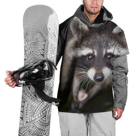 Накидка на куртку 3D с принтом Енот попрошайка в Новосибирске, 100% полиэстер |  | барсук | добрый | енот | животное | зверек | зверь | красивый | крошка | милое | милый | полоски серые | полоскун | прикольный | природа | скунс | усатый | фауна | флора | хищник | черный | шерсть