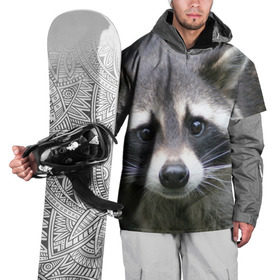 Накидка на куртку 3D с принтом Озадаченный енот в Новосибирске, 100% полиэстер |  | добрый | енот | животное | зверек | зверь | красивый | милое | милый | полоски серые | полоскун | прикольный | природа | усатый | фауна | флора | хищник | черный | шерсть