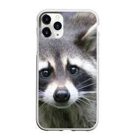 Чехол для iPhone 11 Pro матовый с принтом Озадаченный енот в Новосибирске, Силикон |  | добрый | енот | животное | зверек | зверь | красивый | милое | милый | полоски серые | полоскун | прикольный | природа | усатый | фауна | флора | хищник | черный | шерсть