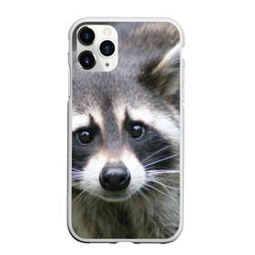 Чехол для iPhone 11 Pro Max матовый с принтом Озадаченный енот в Новосибирске, Силикон |  | добрый | енот | животное | зверек | зверь | красивый | милое | милый | полоски серые | полоскун | прикольный | природа | усатый | фауна | флора | хищник | черный | шерсть