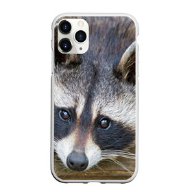 Чехол для iPhone 11 Pro матовый с принтом Енот в Новосибирске, Силикон |  | барсук | добрый | енот | животное | зверек | зверь | красивый | крошка | милое | милый | полоски серые | полоскун | прикольный | природа | скунс | усатый | фауна | флора | хищник | черный | шерсть