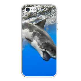 Чехол для iPhone 5/5S матовый с принтом Акула в Новосибирске, Силикон | Область печати: задняя сторона чехла, без боковых панелей | shark | море | синий | челюсти