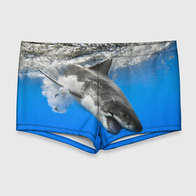 Мужские купальные плавки 3D с принтом Акула в Новосибирске, Полиэстер 85%, Спандекс 15% |  | shark | море | синий | челюсти