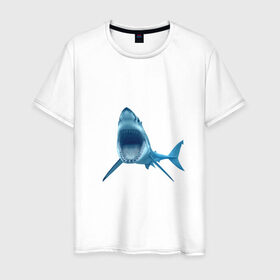 Мужская футболка хлопок с принтом Акула в Новосибирске, 100% хлопок | прямой крой, круглый вырез горловины, длина до линии бедер, слегка спущенное плечо. | shark | челюсти
