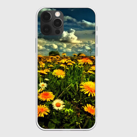 Чехол для iPhone 12 Pro Max с принтом Одуванчики в Новосибирске, Силикон |  | пейзаж | поле | цветы
