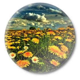 Значок с принтом Одуванчики в Новосибирске,  металл | круглая форма, металлическая застежка в виде булавки | Тематика изображения на принте: пейзаж | поле | цветы