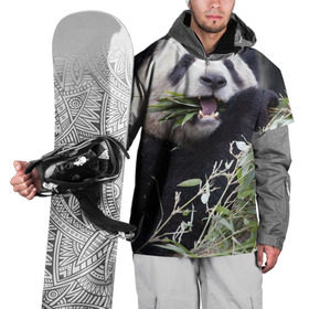 Накидка на куртку 3D с принтом Панда кушает в Новосибирске, 100% полиэстер |  | Тематика изображения на принте: бамбук | животное | медведь
