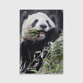 Обложка для паспорта матовая кожа с принтом Панда кушает в Новосибирске, натуральная матовая кожа | размер 19,3 х 13,7 см; прозрачные пластиковые крепления | бамбук | животное | медведь
