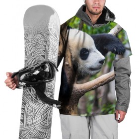 Накидка на куртку 3D с принтом Бамбуковый медведь в Новосибирске, 100% полиэстер |  | бамбук | животное | медведь