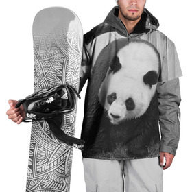Накидка на куртку 3D с принтом Панды чб фото в Новосибирске, 100% полиэстер |  | бамбук | животное | медведь