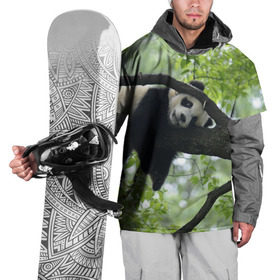 Накидка на куртку 3D с принтом Панда спит на ветке в Новосибирске, 100% полиэстер |  | бамбук | животное | медведь