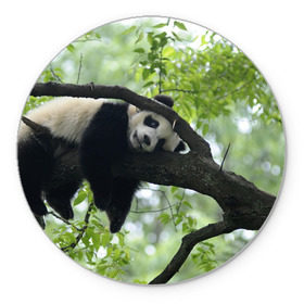 Коврик круглый с принтом Панда спит на ветке в Новосибирске, резина и полиэстер | круглая форма, изображение наносится на всю лицевую часть | бамбук | животное | медведь