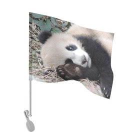 Флаг для автомобиля с принтом Лапка панда в Новосибирске, 100% полиэстер | Размер: 30*21 см | бамбук | животное | медведь