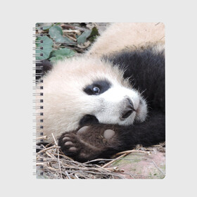 Тетрадь с принтом Лапка панда в Новосибирске, 100% бумага | 48 листов, плотность листов — 60 г/м2, плотность картонной обложки — 250 г/м2. Листы скреплены сбоку удобной пружинной спиралью. Уголки страниц и обложки скругленные. Цвет линий — светло-серый
 | бамбук | животное | медведь