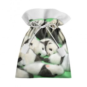 Подарочный 3D мешок с принтом Новорожденные панды в Новосибирске, 100% полиэстер | Размер: 29*39 см | бамбук | животное | медведь