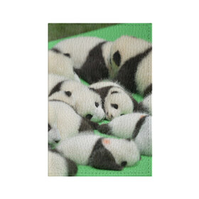 Обложка для паспорта матовая кожа с принтом Новорожденные панды в Новосибирске, натуральная матовая кожа | размер 19,3 х 13,7 см; прозрачные пластиковые крепления | бамбук | животное | медведь