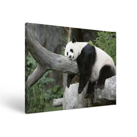 Холст прямоугольный с принтом Большая уставшая панда в Новосибирске, 100% ПВХ |  | Тематика изображения на принте: бамбук | животное | медведь