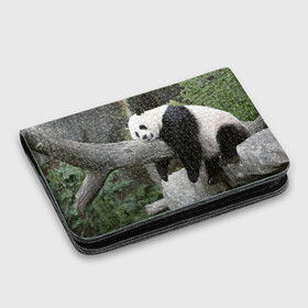 Картхолдер с принтом с принтом Большая уставшая панда в Новосибирске, натуральная матовая кожа | размер 7,3 х 10 см; кардхолдер имеет 4 кармана для карт; | бамбук | животное | медведь