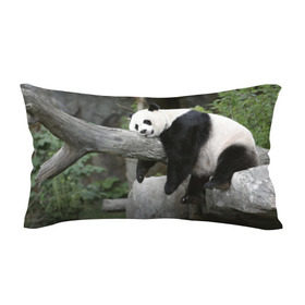 Подушка 3D антистресс с принтом Большая уставшая панда в Новосибирске, наволочка — 100% полиэстер, наполнитель — вспененный полистирол | состоит из подушки и наволочки на молнии | бамбук | животное | медведь