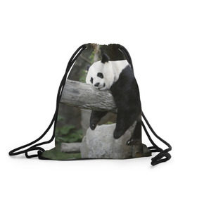 Рюкзак-мешок 3D с принтом Большая уставшая панда в Новосибирске, 100% полиэстер | плотность ткани — 200 г/м2, размер — 35 х 45 см; лямки — толстые шнурки, застежка на шнуровке, без карманов и подкладки | бамбук | животное | медведь