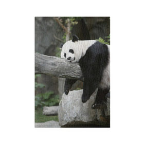 Обложка для паспорта матовая кожа с принтом Большая уставшая панда в Новосибирске, натуральная матовая кожа | размер 19,3 х 13,7 см; прозрачные пластиковые крепления | Тематика изображения на принте: бамбук | животное | медведь