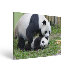 Холст прямоугольный с принтом Мамочка и сыночек панды в Новосибирске, 100% ПВХ |  | Тематика изображения на принте: бамбук | животное | медведь