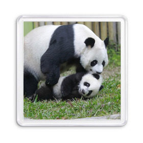 Магнит 55*55 с принтом Мамочка и сыночек панды в Новосибирске, Пластик | Размер: 65*65 мм; Размер печати: 55*55 мм | Тематика изображения на принте: бамбук | животное | медведь
