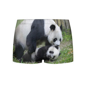 Мужские трусы 3D с принтом Мамочка и сыночек панды в Новосибирске, 50% хлопок, 50% полиэстер | классическая посадка, на поясе мягкая тканевая резинка | Тематика изображения на принте: бамбук | животное | медведь