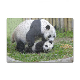 Пазл магнитный 126 элементов с принтом Мамочка и сыночек панды в Новосибирске, полимерный материал с магнитным слоем | 126 деталей, размер изделия —  180*270 мм | Тематика изображения на принте: бамбук | животное | медведь