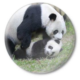 Значок с принтом Мамочка и сыночек панды в Новосибирске,  металл | круглая форма, металлическая застежка в виде булавки | Тематика изображения на принте: бамбук | животное | медведь