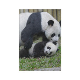 Обложка для паспорта матовая кожа с принтом Мамочка и сыночек панды в Новосибирске, натуральная матовая кожа | размер 19,3 х 13,7 см; прозрачные пластиковые крепления | бамбук | животное | медведь