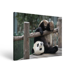 Холст прямоугольный с принтом Паркур панда в Новосибирске, 100% ПВХ |  | Тематика изображения на принте: бамбук | животное | медведь